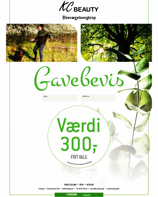 Gavekort værdi 300.- (print selv)