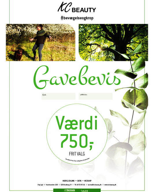 Gavekort værdi 750.- (print selv)
